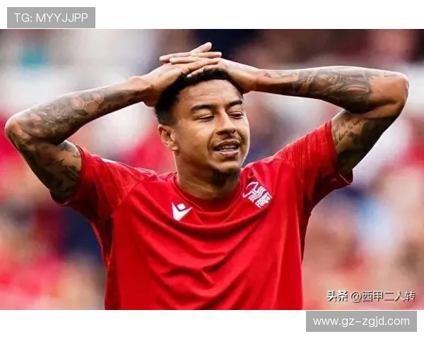 林加德公司债务缠身被法院清盘